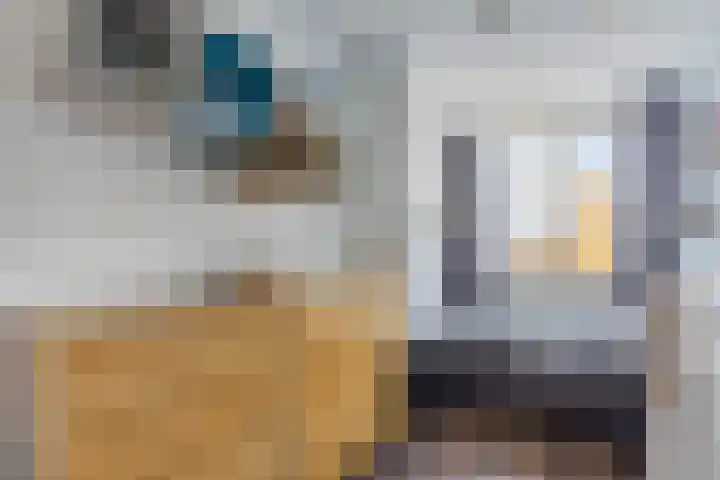 Mozartlaan 212 Tilburg thumbnail 39