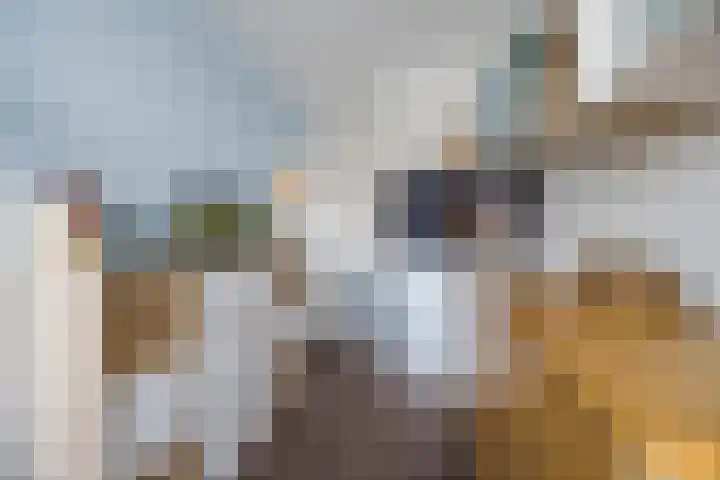 Mozartlaan 212 Tilburg thumbnail 40