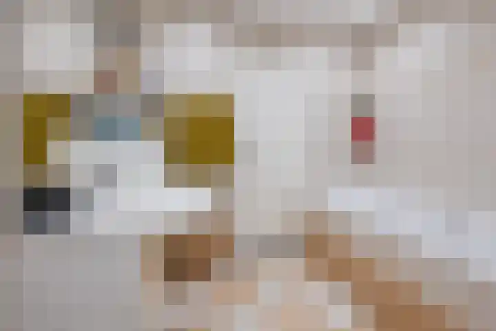 Mozartlaan 212 Tilburg thumbnail 41
