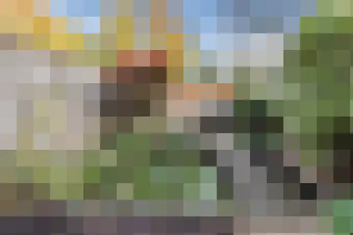 Mozartlaan 212 Tilburg thumbnail 48