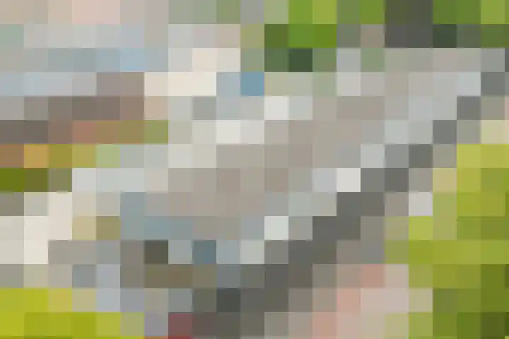 Mozartlaan 22 Doetinchem thumbnail 35