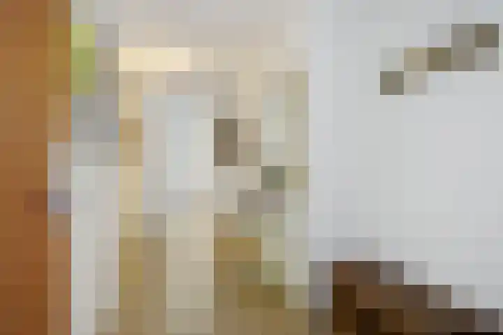 Mozartlaan 22 Heesch thumbnail 12