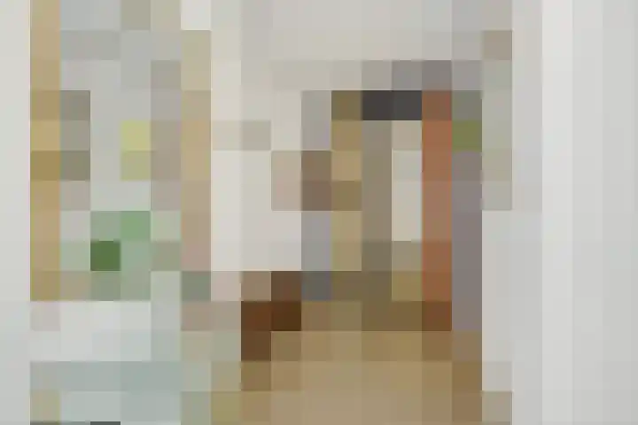 Mozartlaan 22 Heesch thumbnail 14
