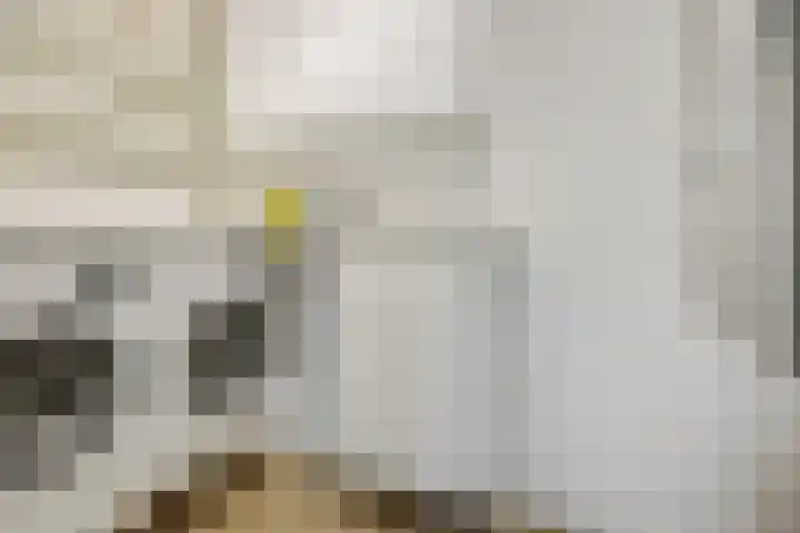 Mozartlaan 22 Heesch thumbnail 24