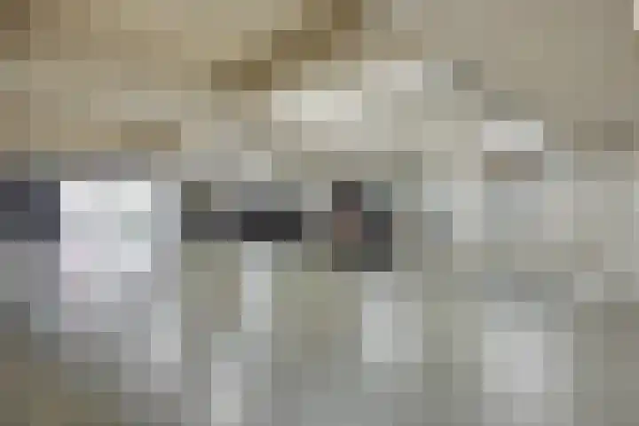 Mozartlaan 22 Heesch thumbnail 31