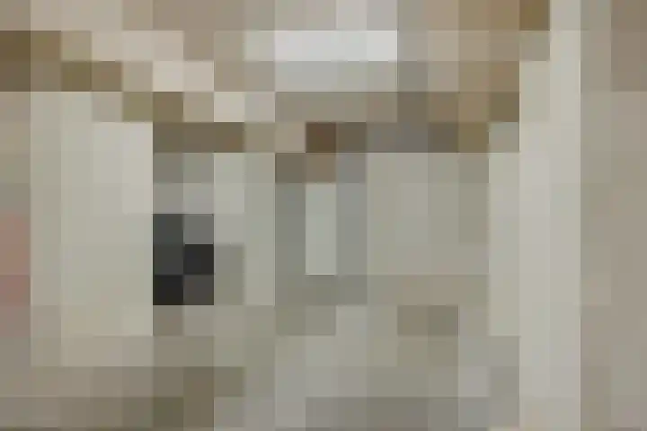 Mozartlaan 22 Heesch thumbnail 32