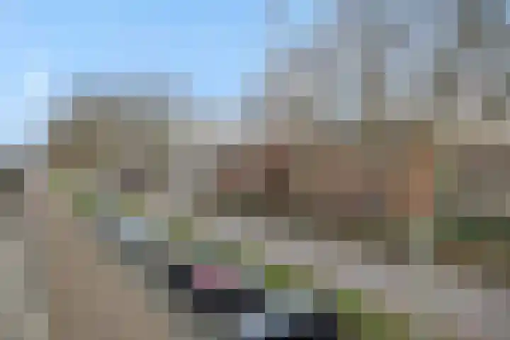 Mozartlaan 22 Heesch thumbnail 39