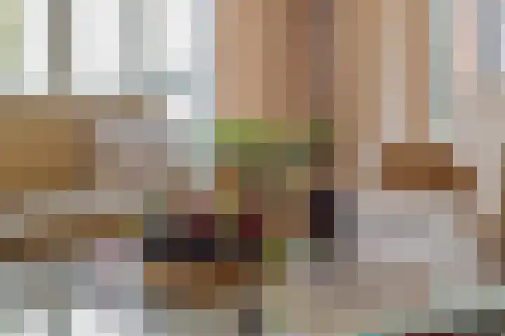 Mozartlaan 22 Heesch thumbnail 4