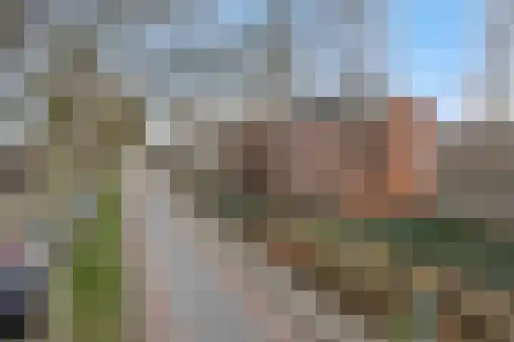 Mozartlaan 22 Heesch thumbnail 40