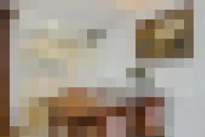 Mozartlaan 22 Heesch thumbnail 6