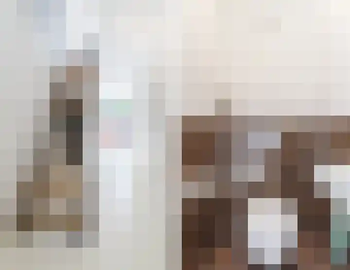 Mozartlaan 222 Tilburg thumbnail 16