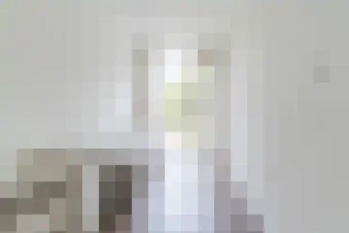 Mozartlaan 222 Tilburg thumbnail 35