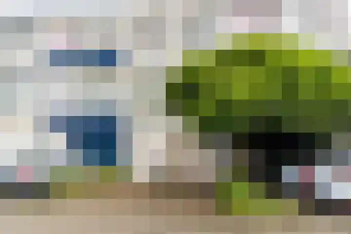 Mozartlaan 222 Tilburg thumbnail 41