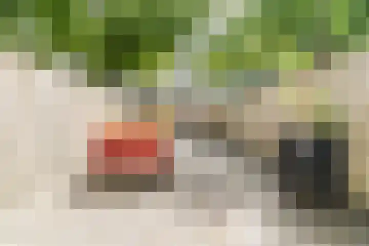 Mozartlaan 222 Tilburg thumbnail 9
