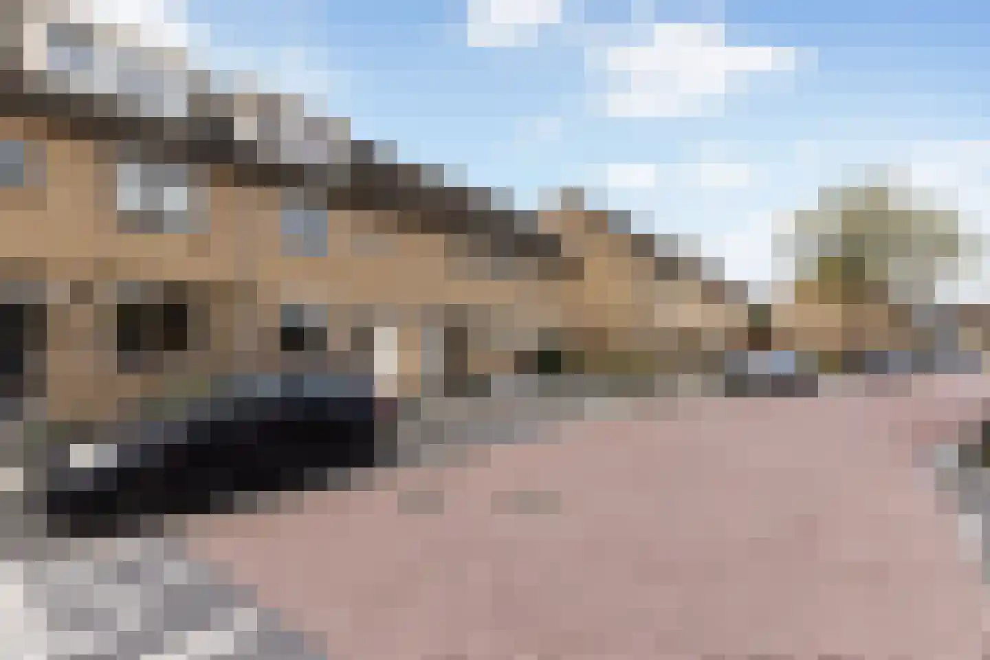 Mozartlaan 224 Zwijndrecht thumbnail 27