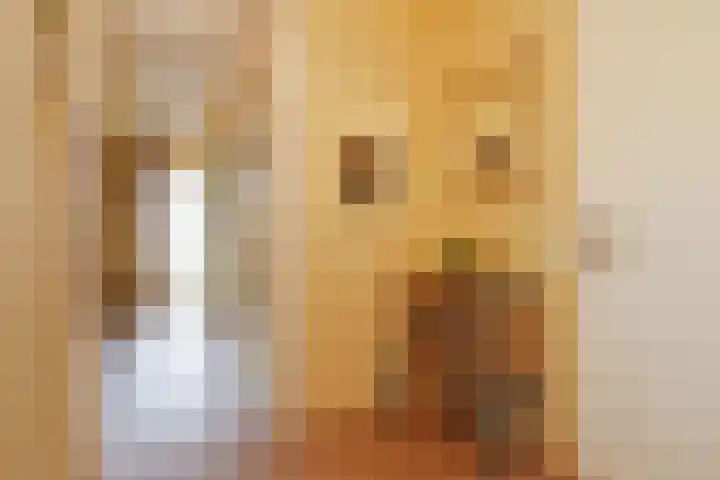 Mozartlaan 23 Den Haag thumbnail 13