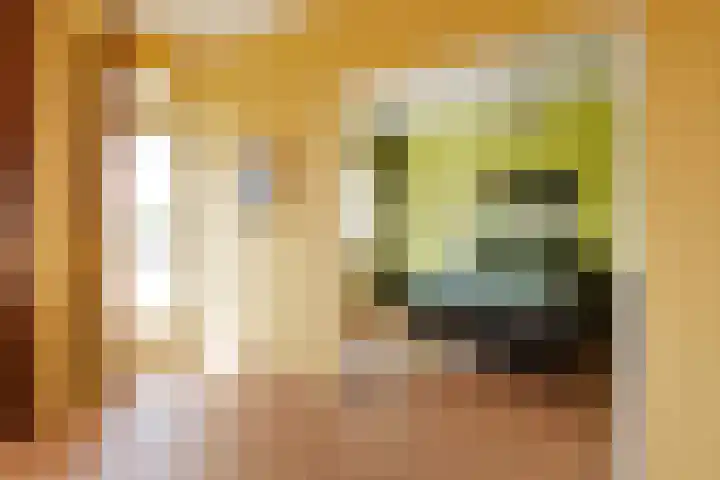 Mozartlaan 23 Den Haag thumbnail 31