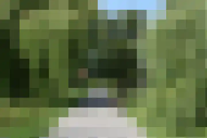 Mozartlaan 23 Den Haag thumbnail 41