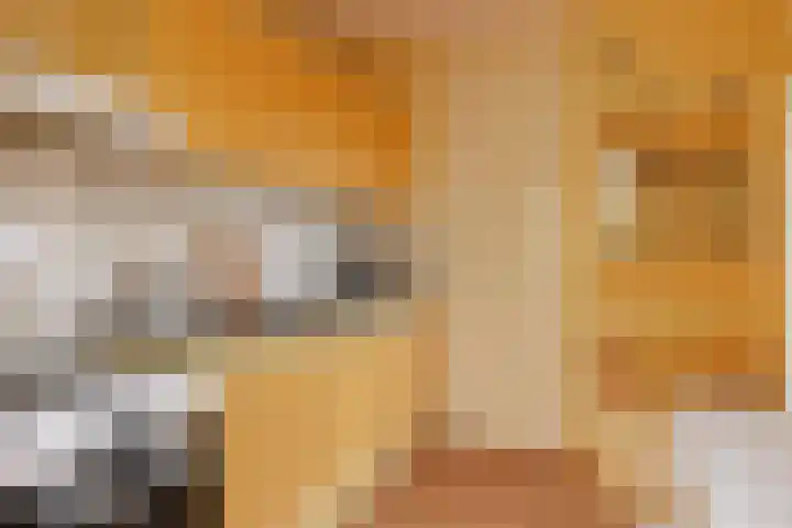 Mozartlaan 23 Den Haag thumbnail 5