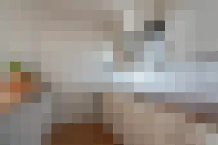 Mozartlaan 230 Den Haag thumbnail 17