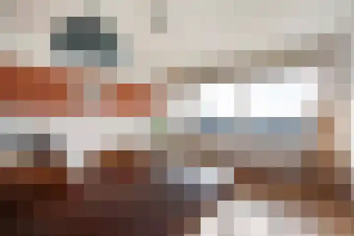 Mozartlaan 230 Den Haag thumbnail 9