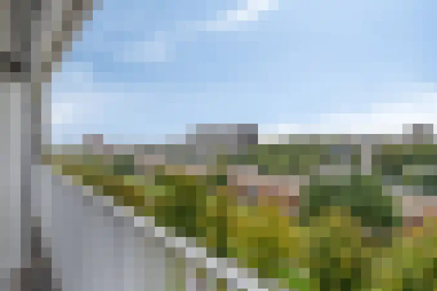 Mozartlaan 230 Zwolle thumbnail 13