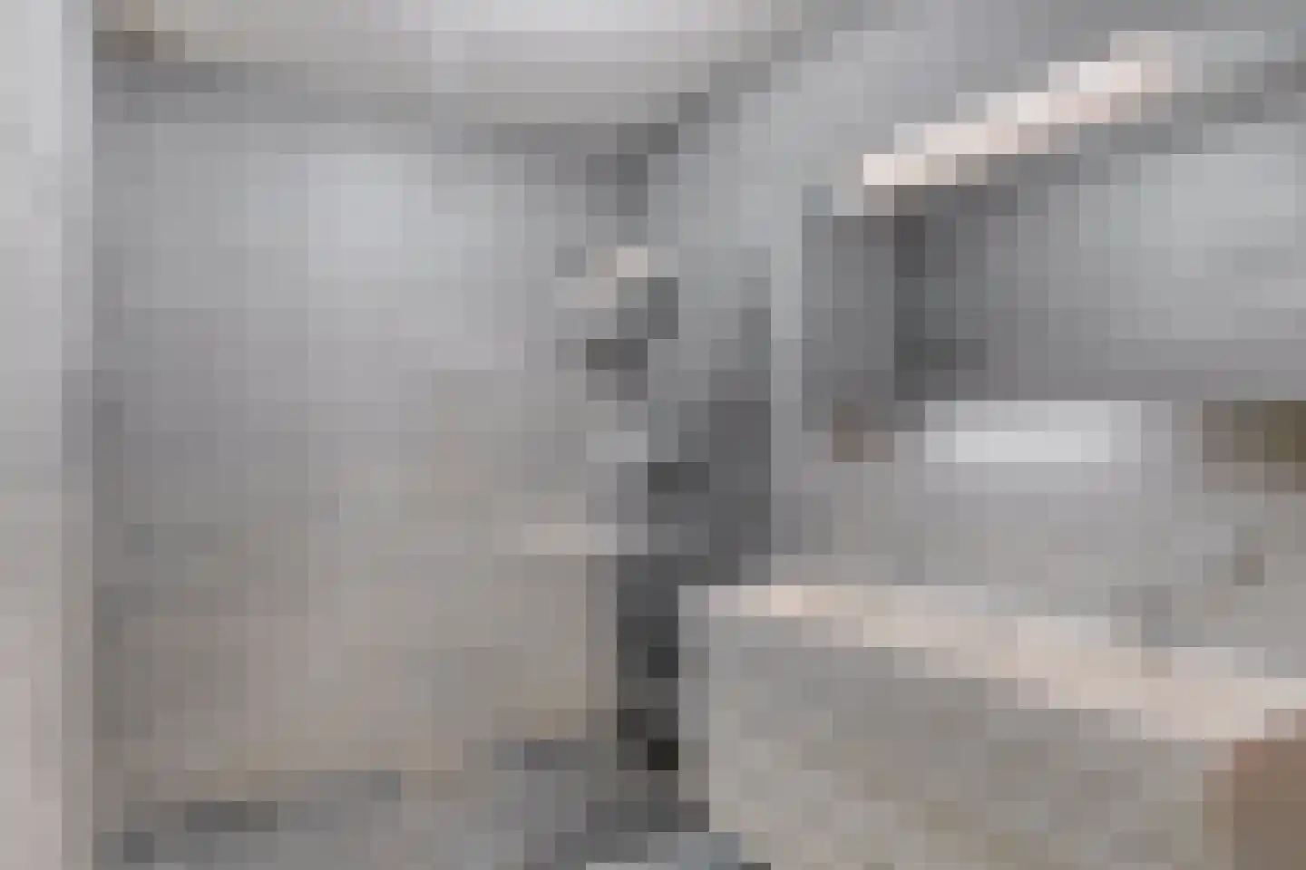 Mozartlaan 230 Zwolle thumbnail 5