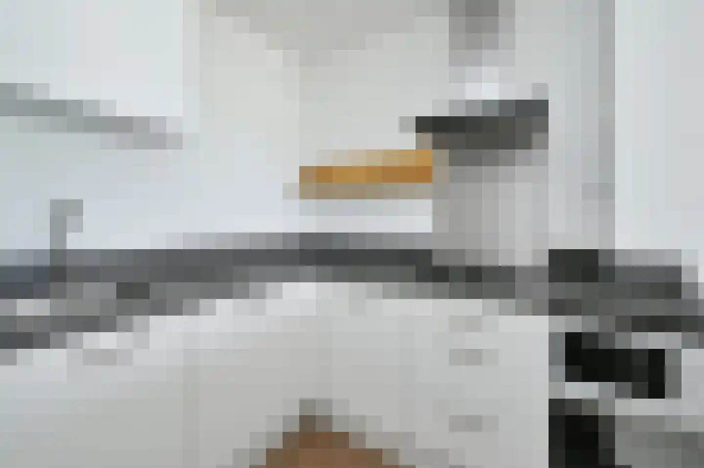Mozartlaan 232 Den Haag thumbnail 24
