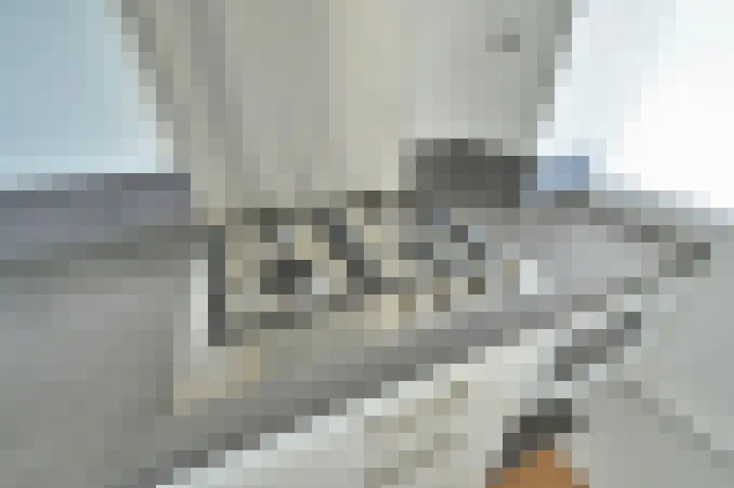 Mozartlaan 232 Den Haag thumbnail 25