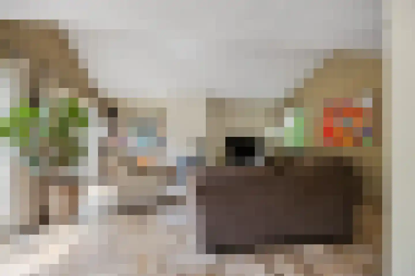 Mozartlaan 24 Drunen thumbnail 10