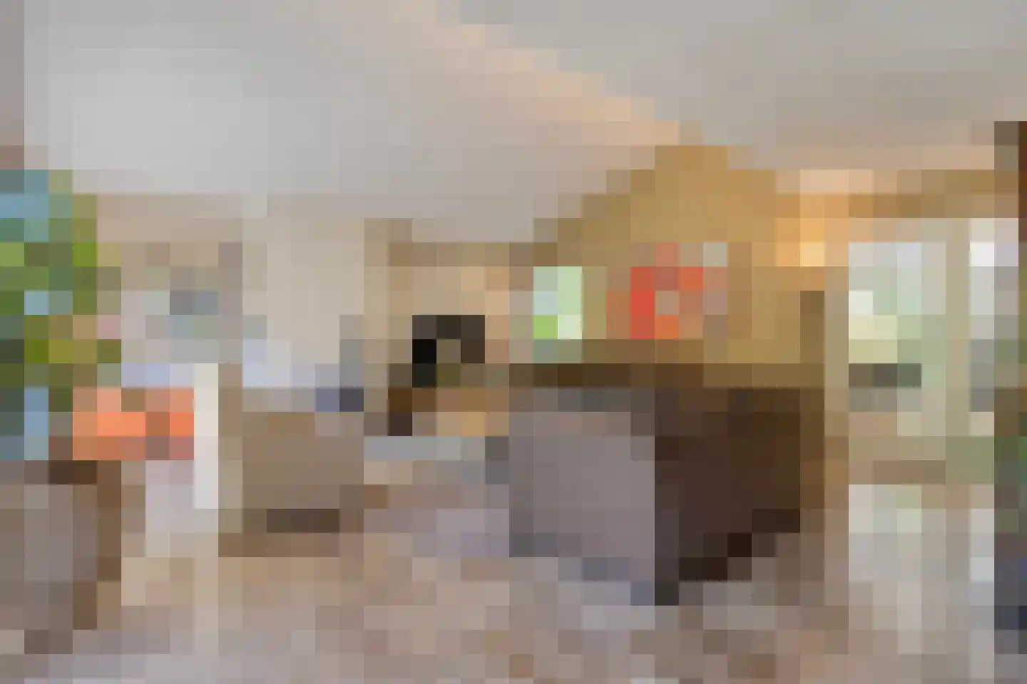 Mozartlaan 24 Drunen thumbnail 11