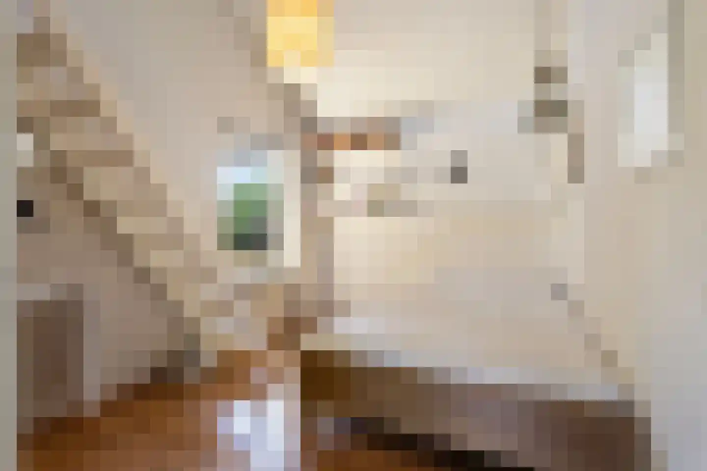 Mozartlaan 24 Drunen thumbnail 29