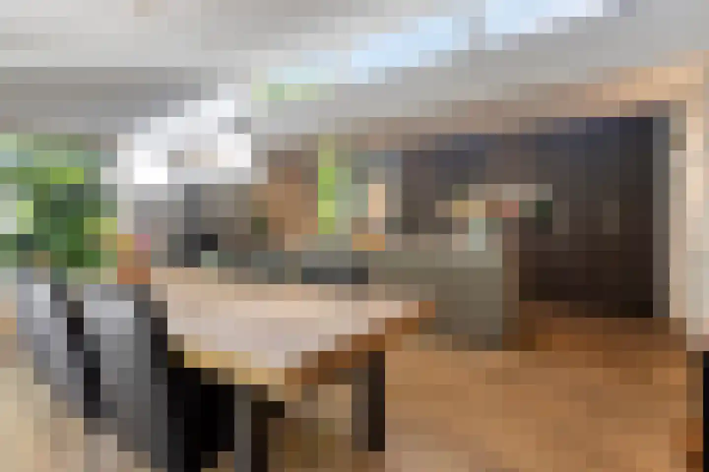 Mozartlaan 24 Drunen foto 3
