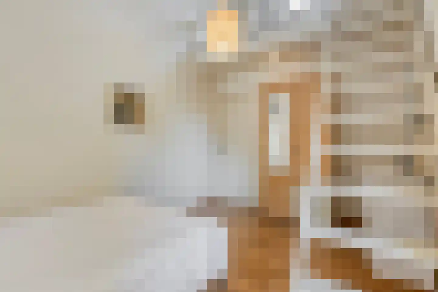 Mozartlaan 24 Drunen thumbnail 30