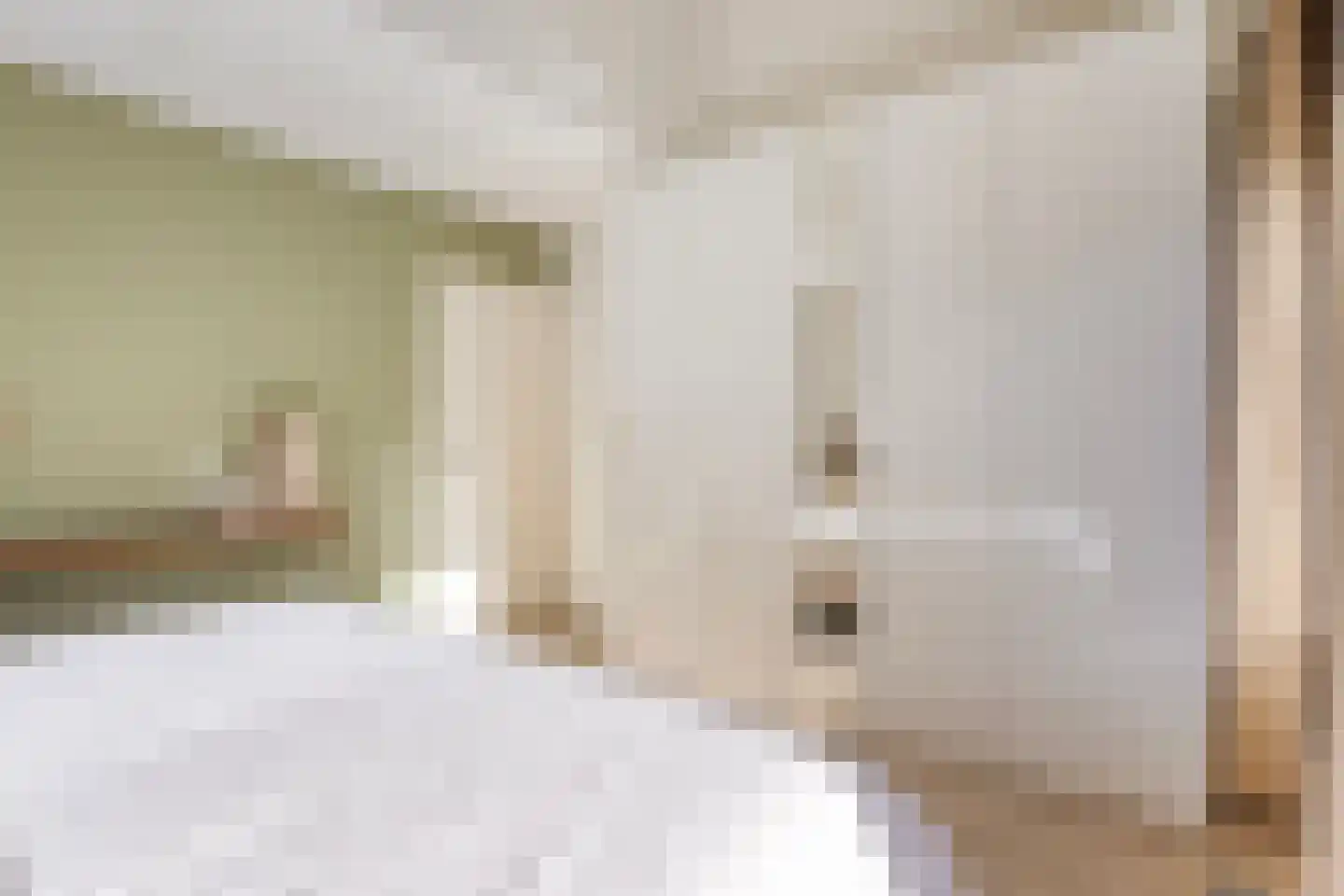 Mozartlaan 24 Drunen thumbnail 37