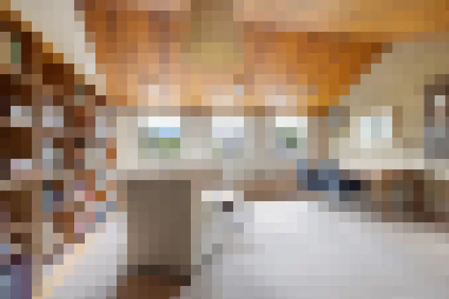 Mozartlaan 24 Drunen thumbnail 43