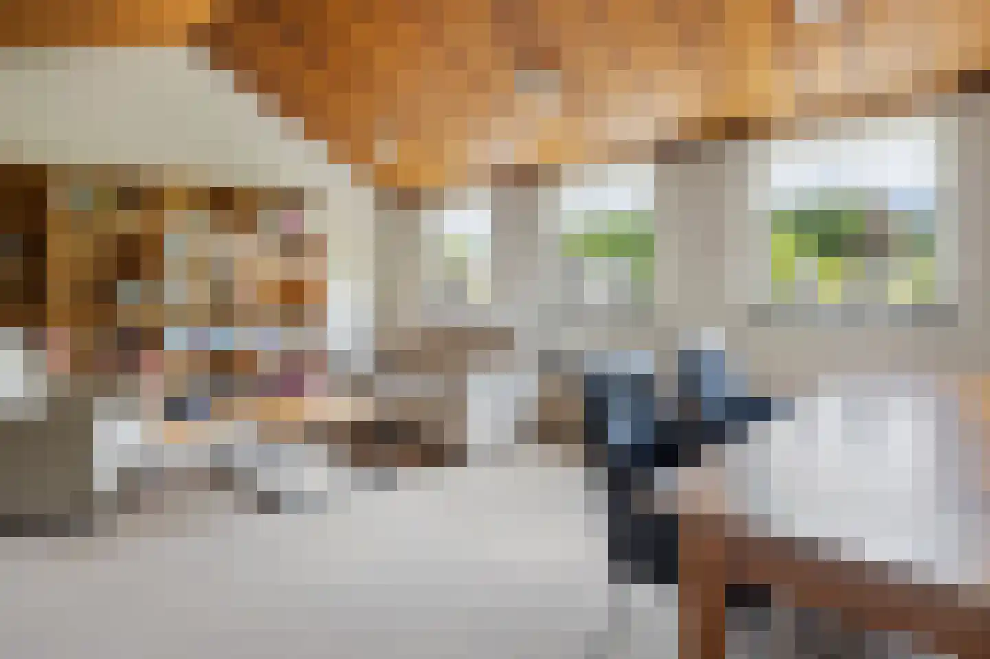 Mozartlaan 24 Drunen thumbnail 44