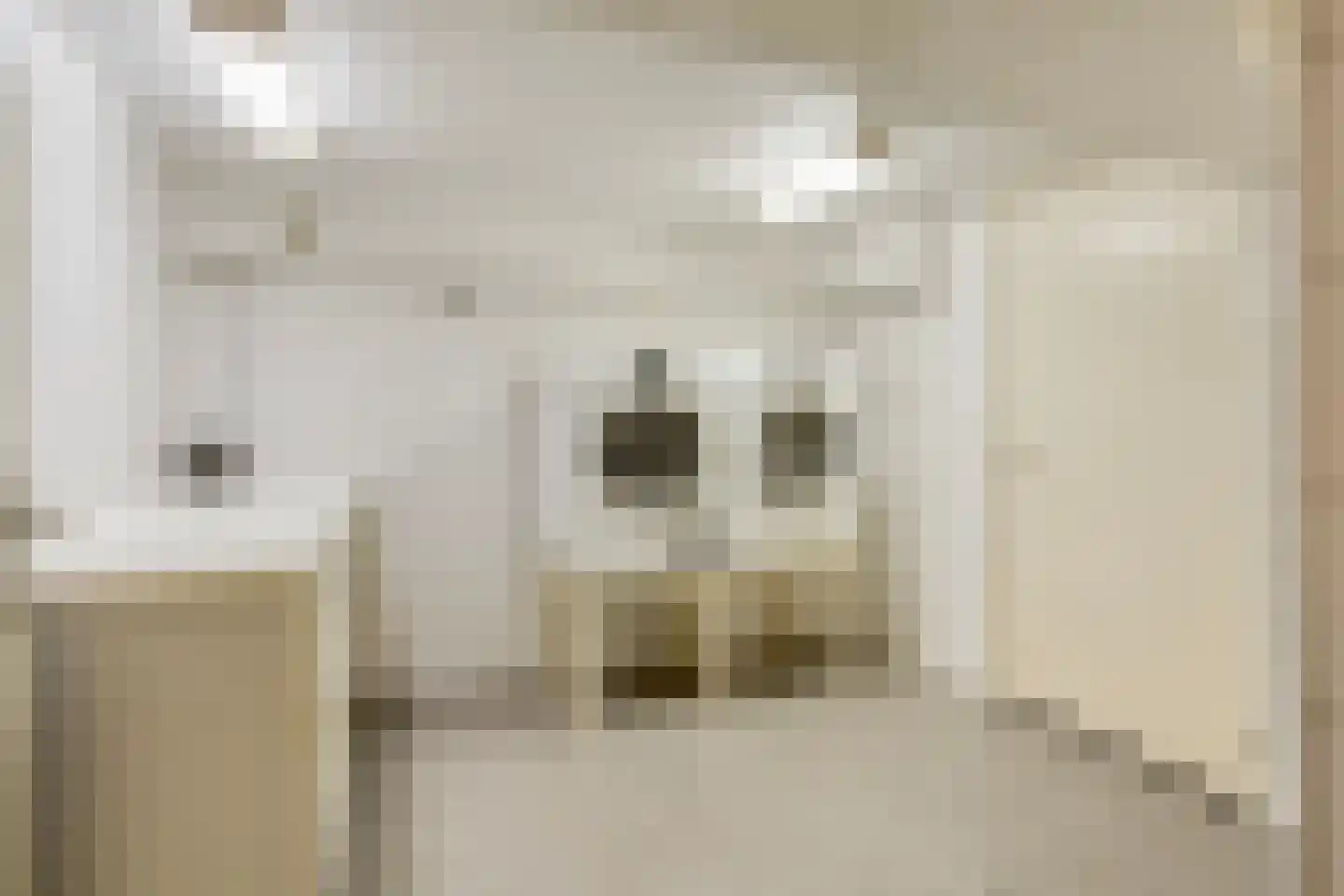 Mozartlaan 24 Drunen thumbnail 47