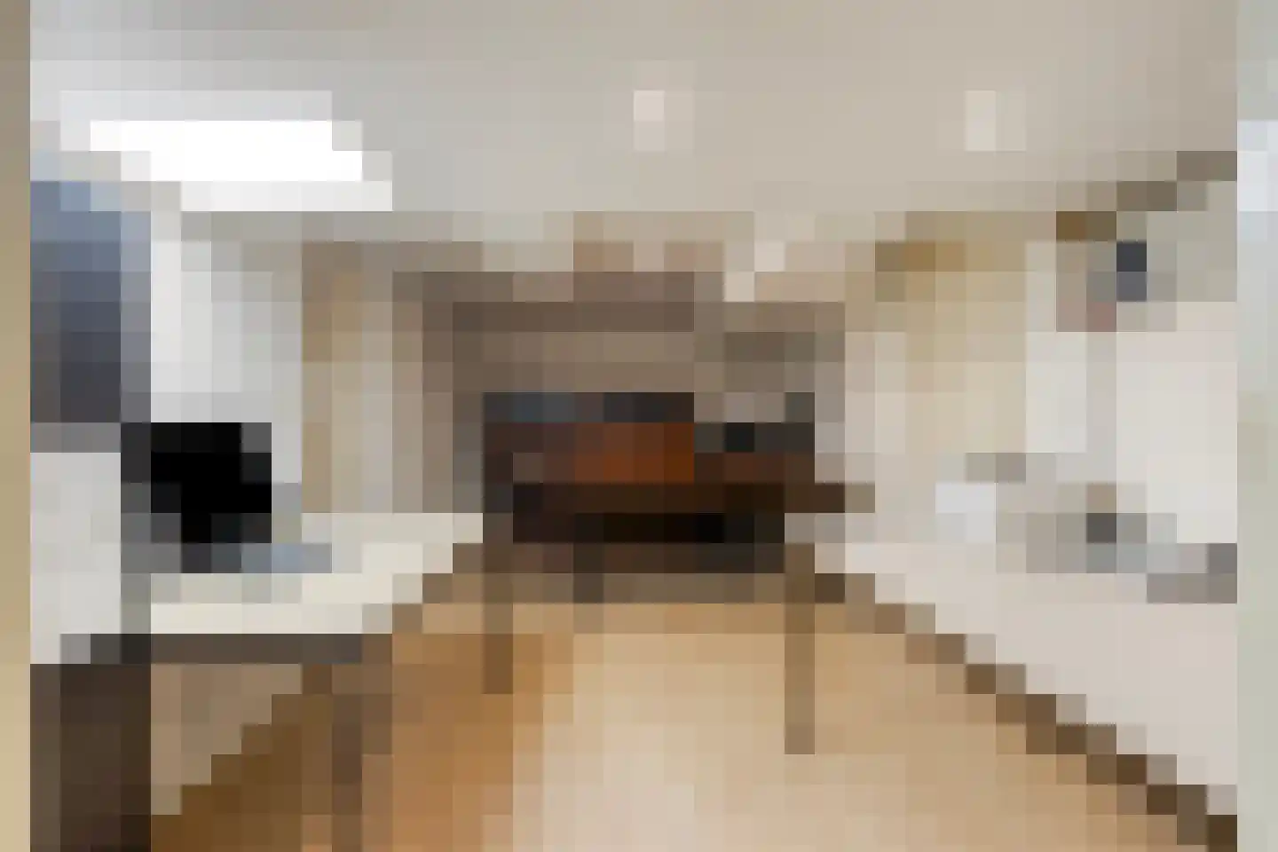 Mozartlaan 24 Drunen thumbnail 48