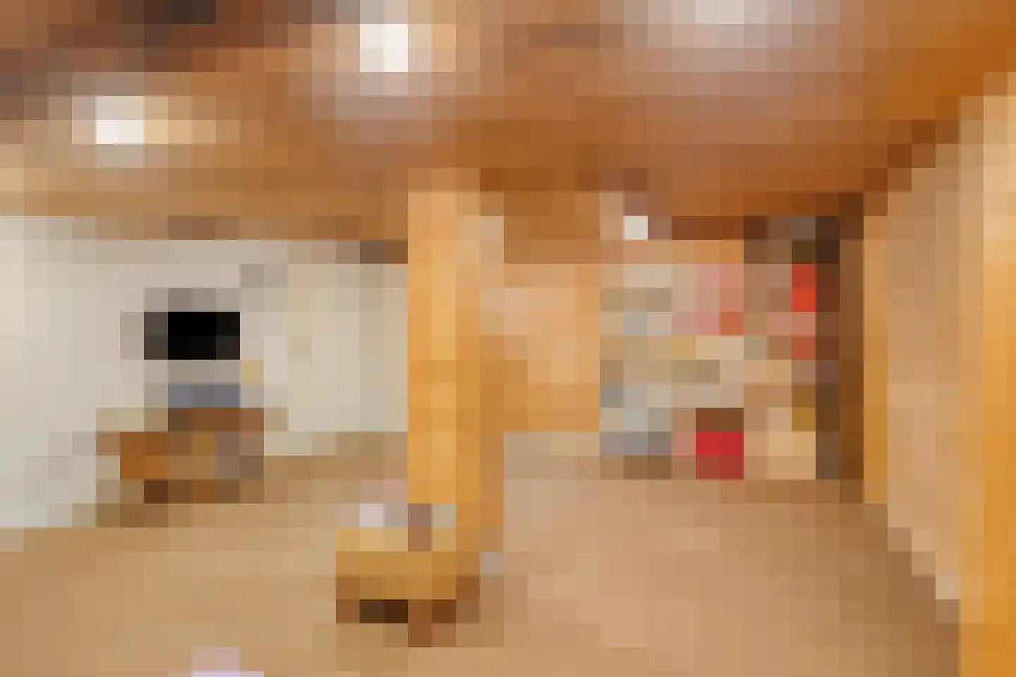 Mozartlaan 24 Drunen thumbnail 51