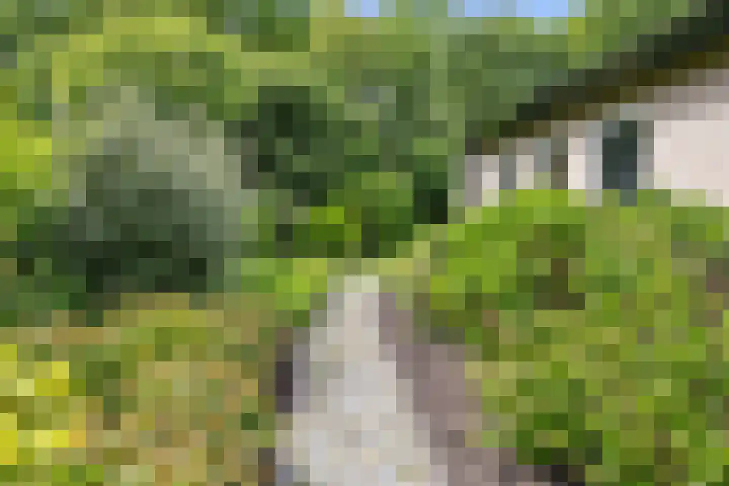 Mozartlaan 24 Drunen thumbnail 57