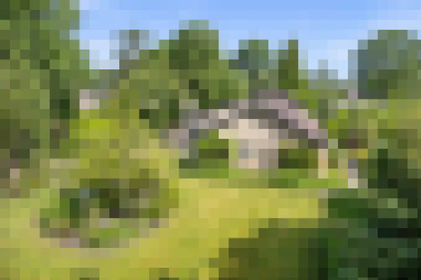 Mozartlaan 24 Drunen thumbnail 61