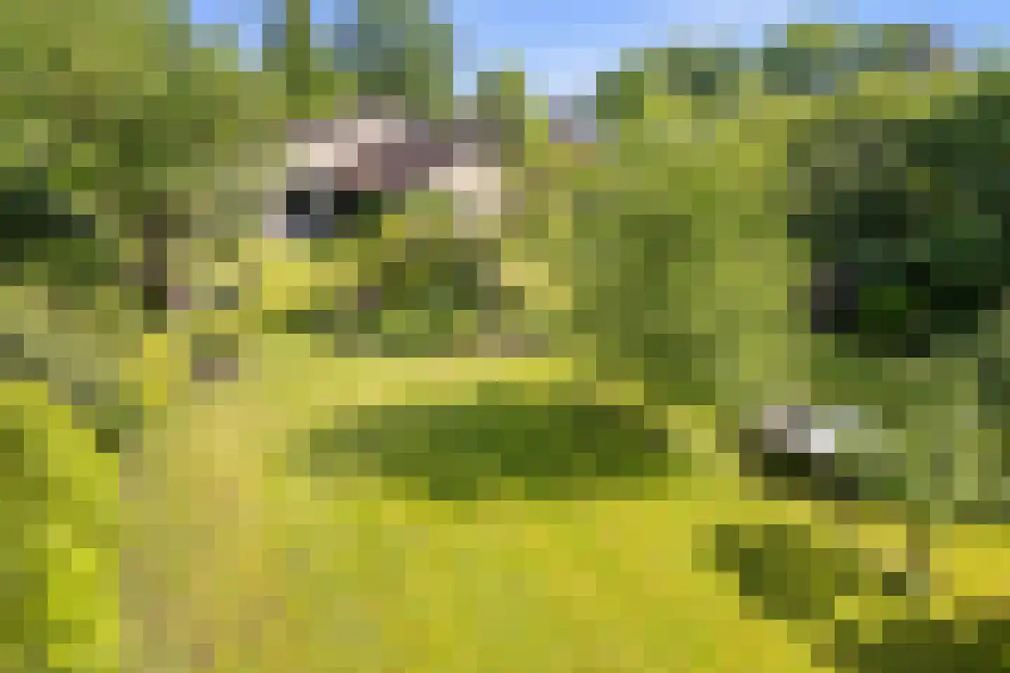 Mozartlaan 24 Drunen thumbnail 62
