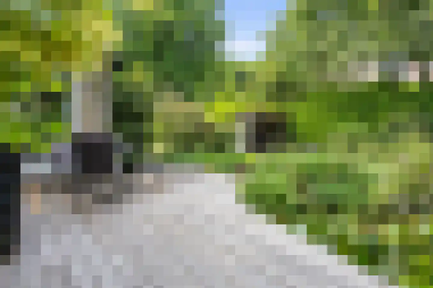 Mozartlaan 24 Drunen thumbnail 63