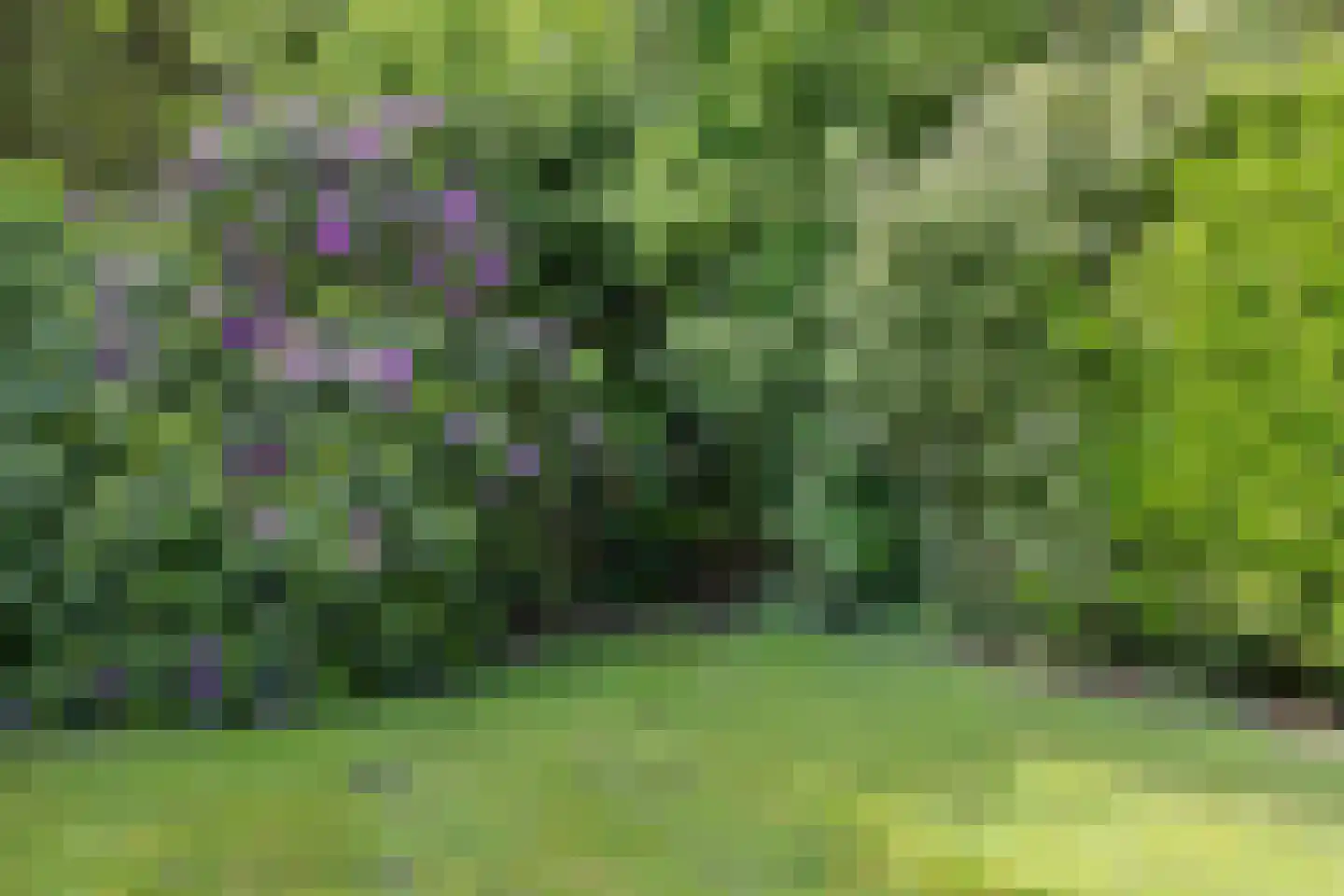 Mozartlaan 24 Drunen thumbnail 70