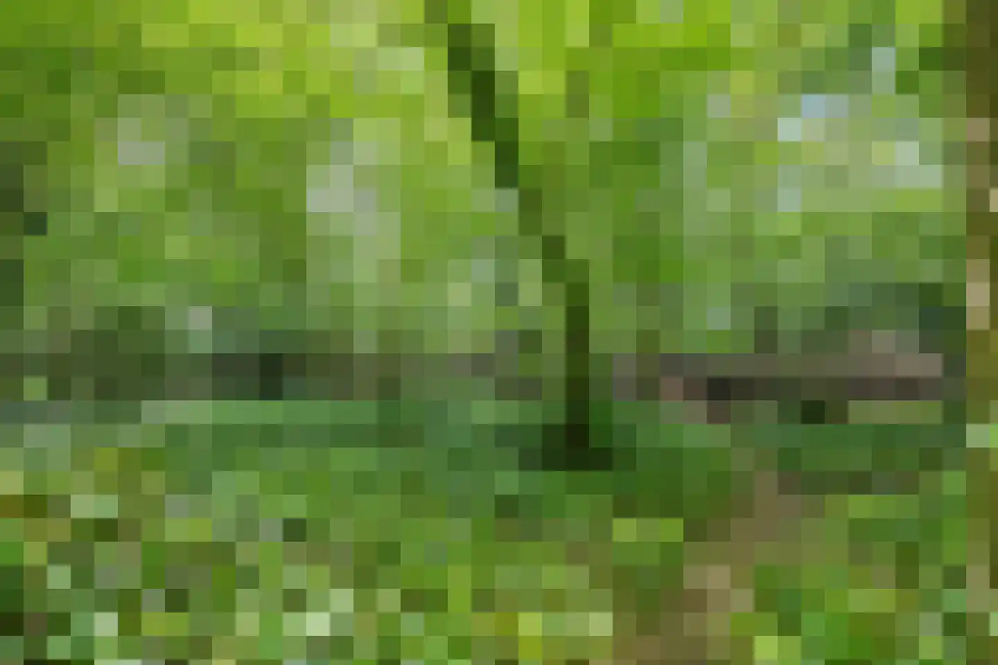 Mozartlaan 24 Drunen thumbnail 71