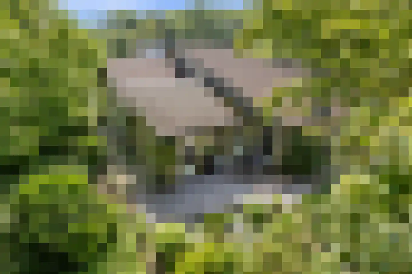 Mozartlaan 24 Drunen thumbnail 73