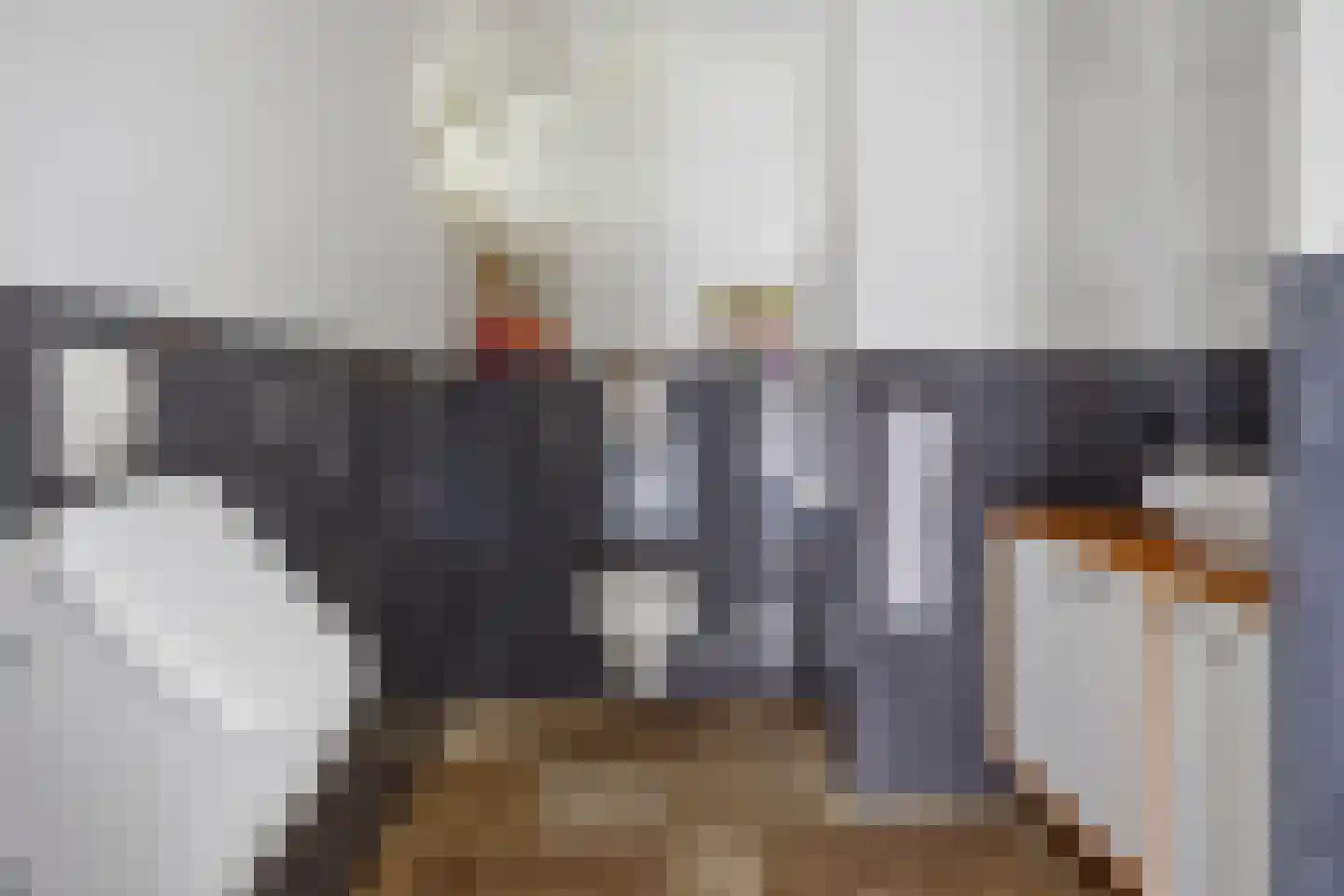 Mozartlaan 24 Drunen thumbnail 8