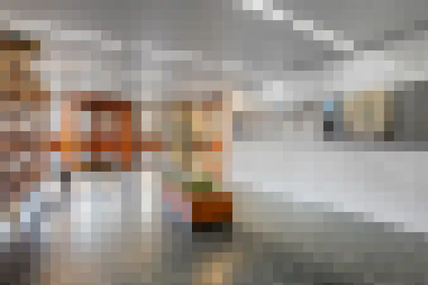 Mozartlaan 242 Den Haag thumbnail 23