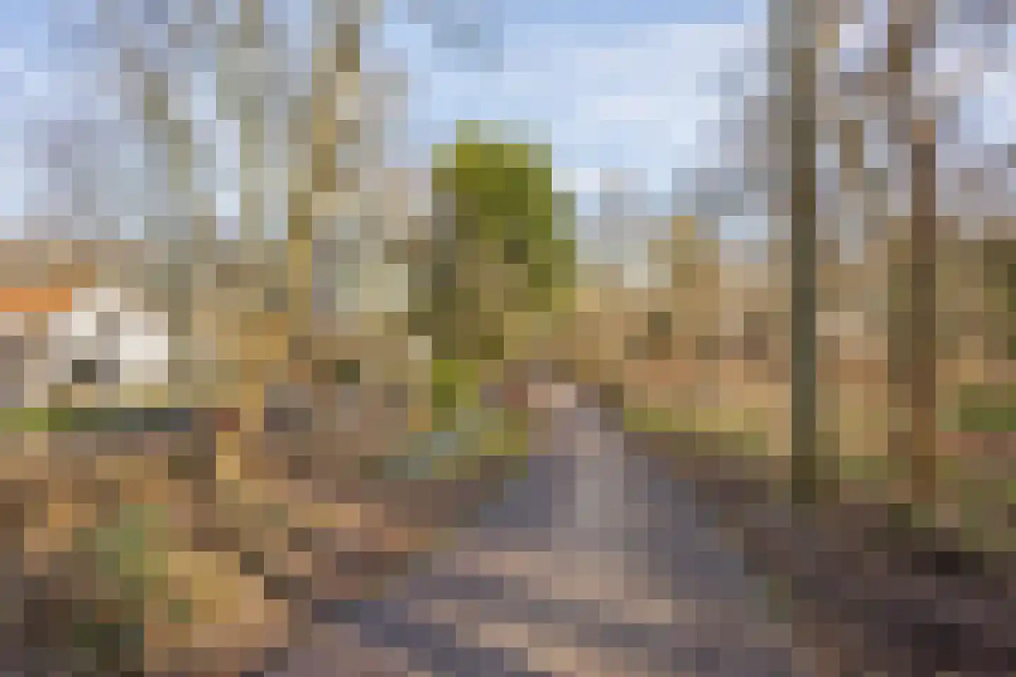 Mozartlaan 242 Den Haag thumbnail 35